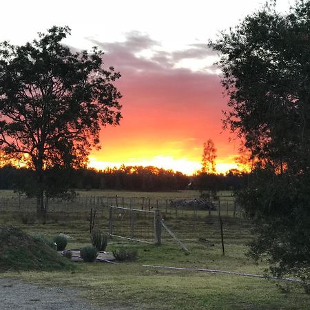 Lovedale Red Gum Cottage Bagian luar foto