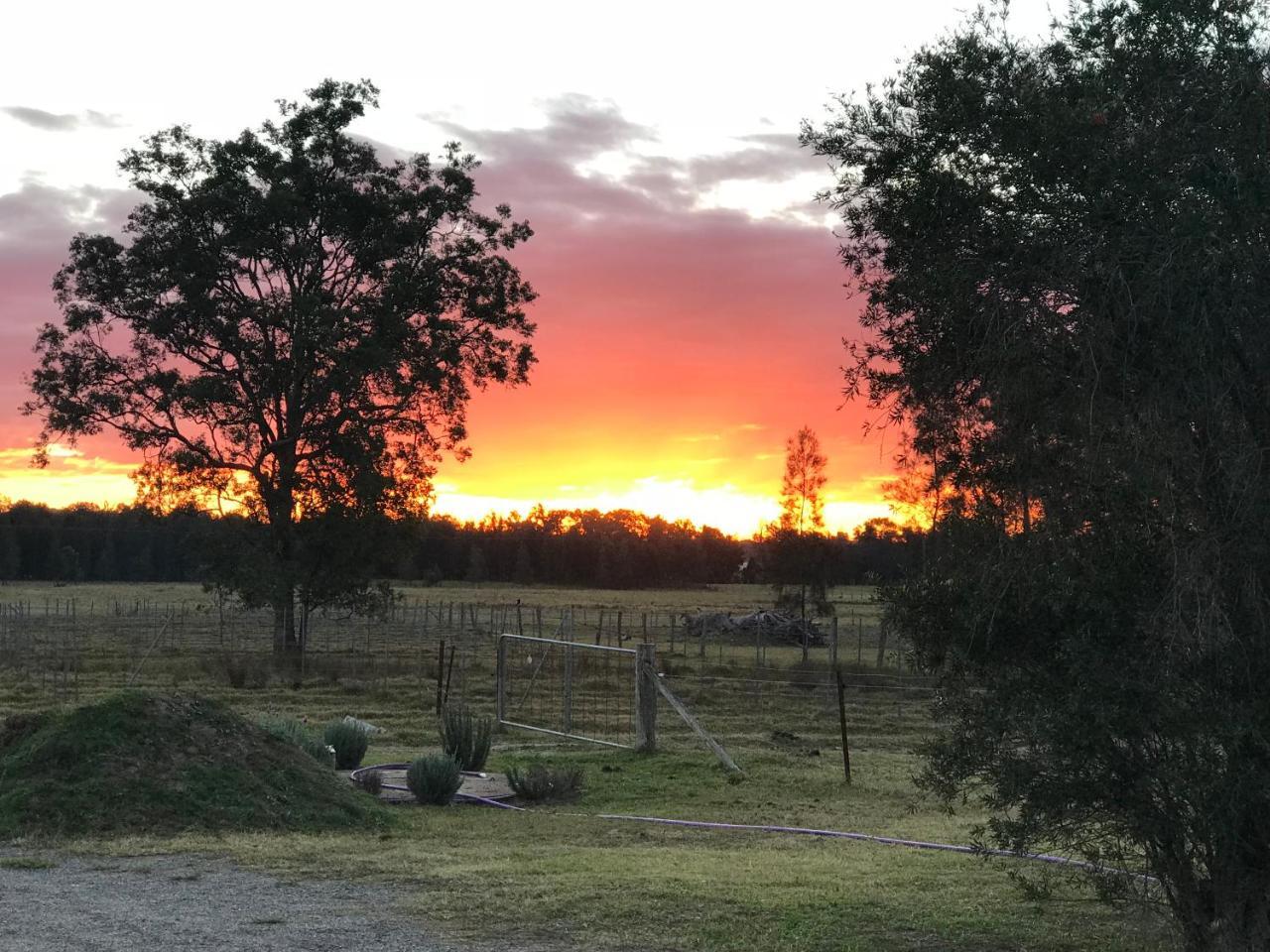 Lovedale Red Gum Cottage Bagian luar foto