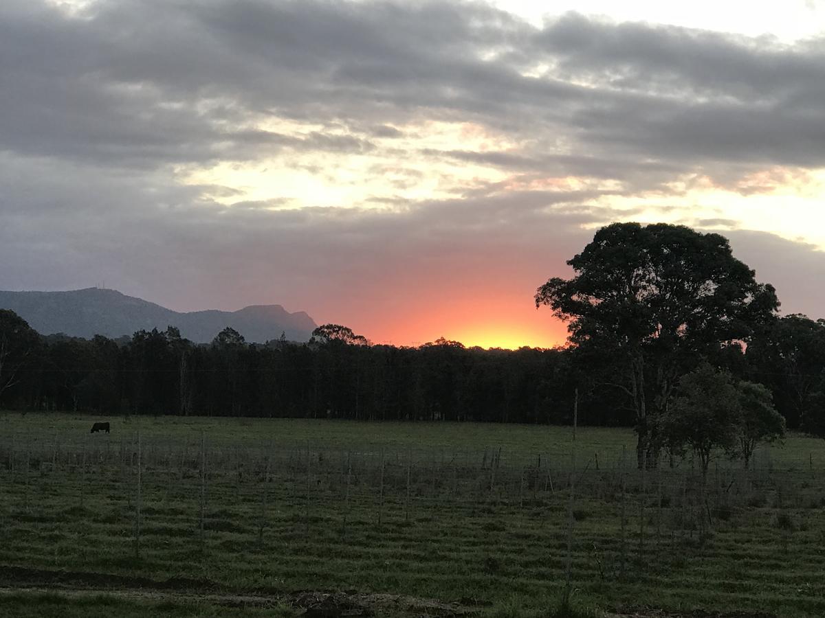 Lovedale Red Gum Cottage Bagian luar foto
